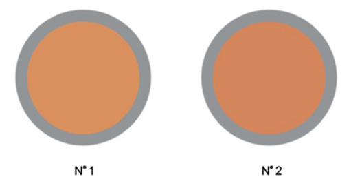 Poudre bronzante mate XL & pinceau Vera Valenti